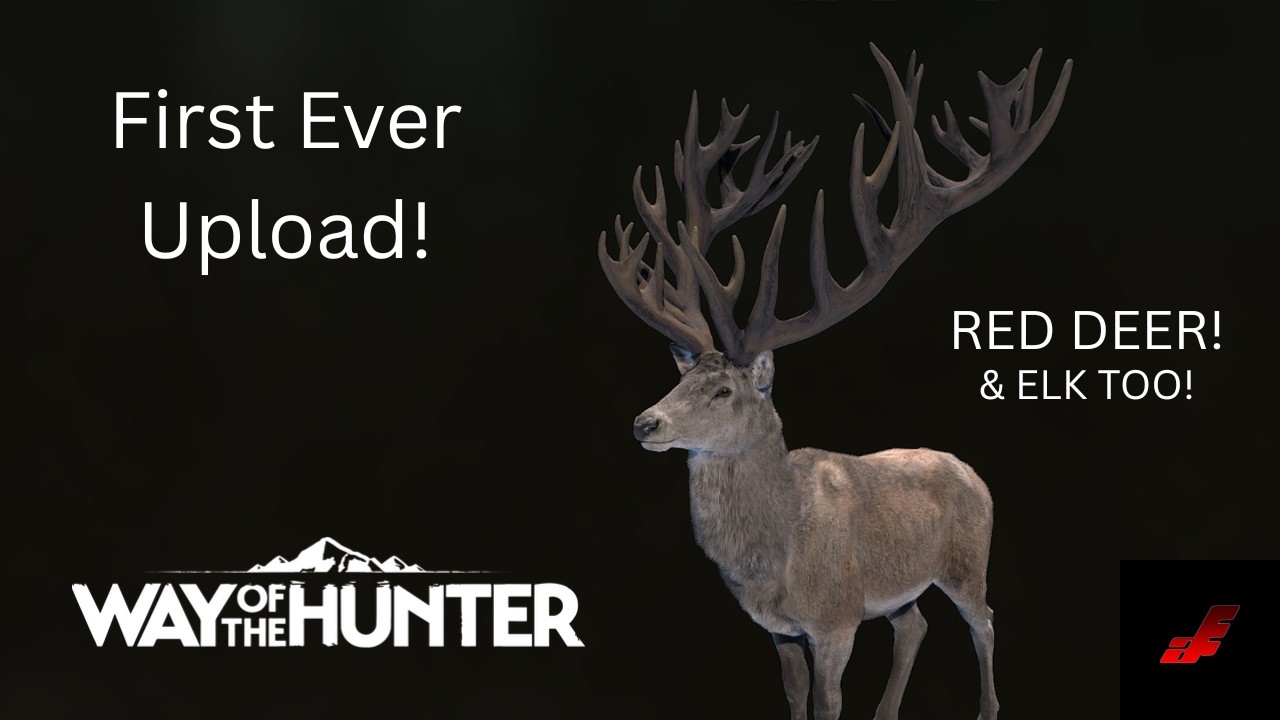 First Ever Upload! 5 Star Red Deer In New Zealand! | Way of the Hunter