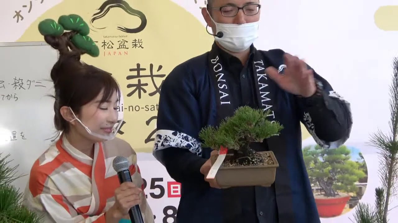 「高松盆栽の郷フェスタ2020」1日目オンライン配信 【高松盆栽デモンストレーション】