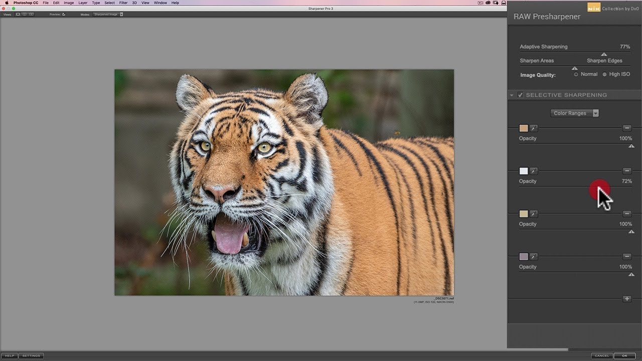 Mastering the Nik Collection - 22: RAW Presharpening (Color Ranges)