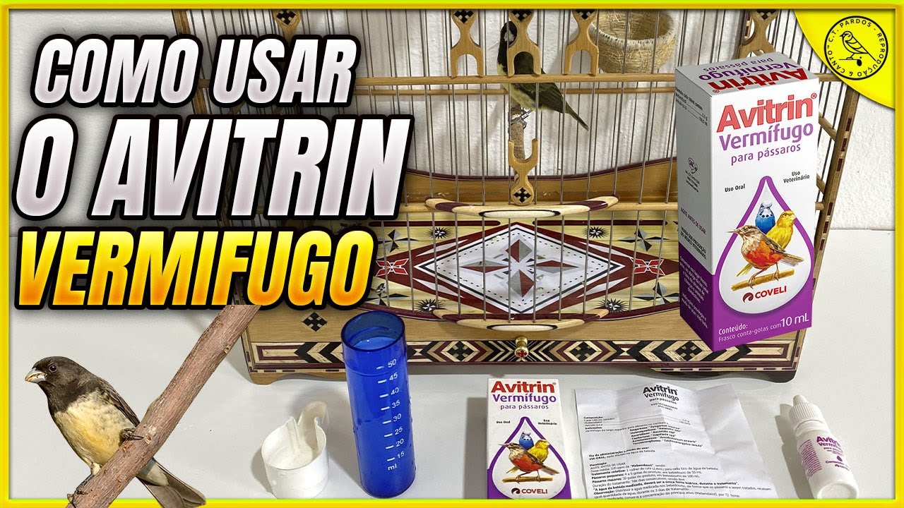 Como usar o Avitrin vermífugo preventivo para coleiro e papa-capim