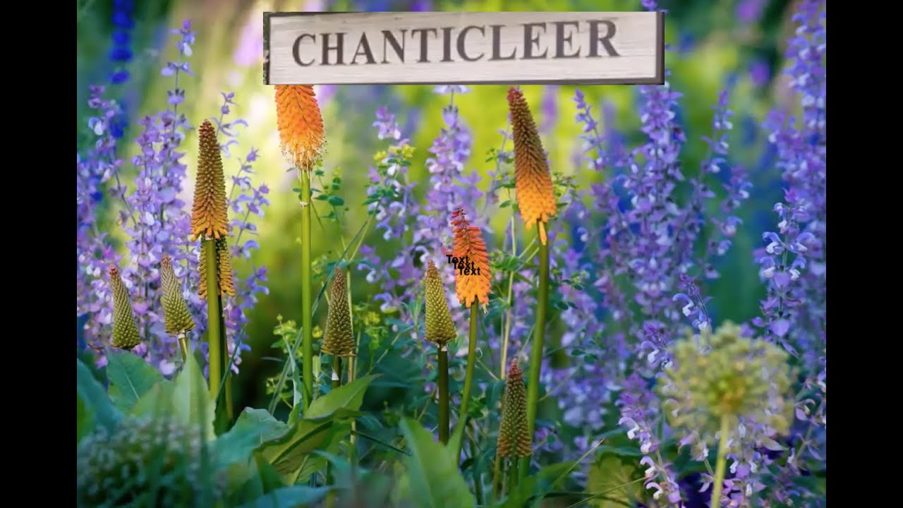 Chanticleer Garden, 