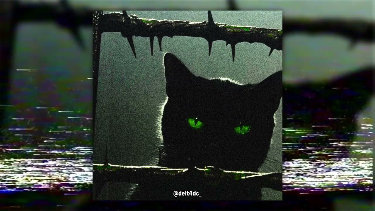 Free "Chat Noir" Trap Type Beat