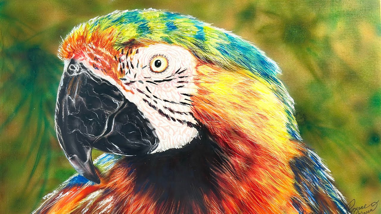 How to airbrush a parrot 