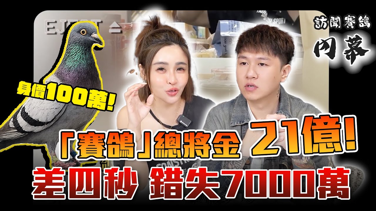 21億獎金 的比賽!!  賽鴿有賭盤？ 真的只是比速度嗎？ 差四秒 落失7000萬!!!  #焦掉俠侶   #實測 #賽鴿 賽鴿訓練 #獎金 ＃賽鴿 ＃上億獎金