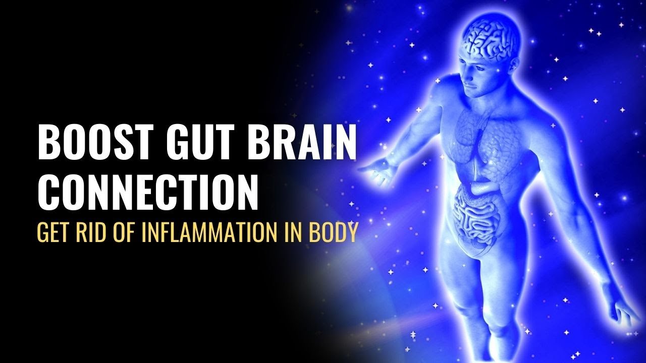 Boost Gut Brain Connection | Increase Your Gut Microbiome |  Get Rid of Inflammation in Body | 741Hz
