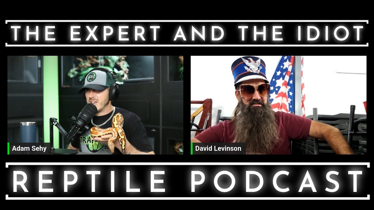 97 - Dave Levinson of Custom Scales is a big deal - The Expert and The Idiot - A Reptile Podcast