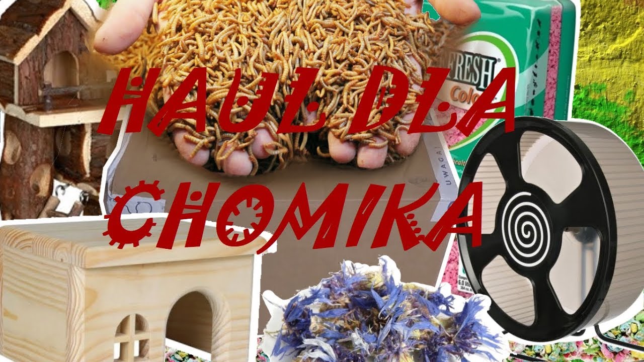 Ogromny haul dla chomików (NaszeZoo.pl, HIPCIO)