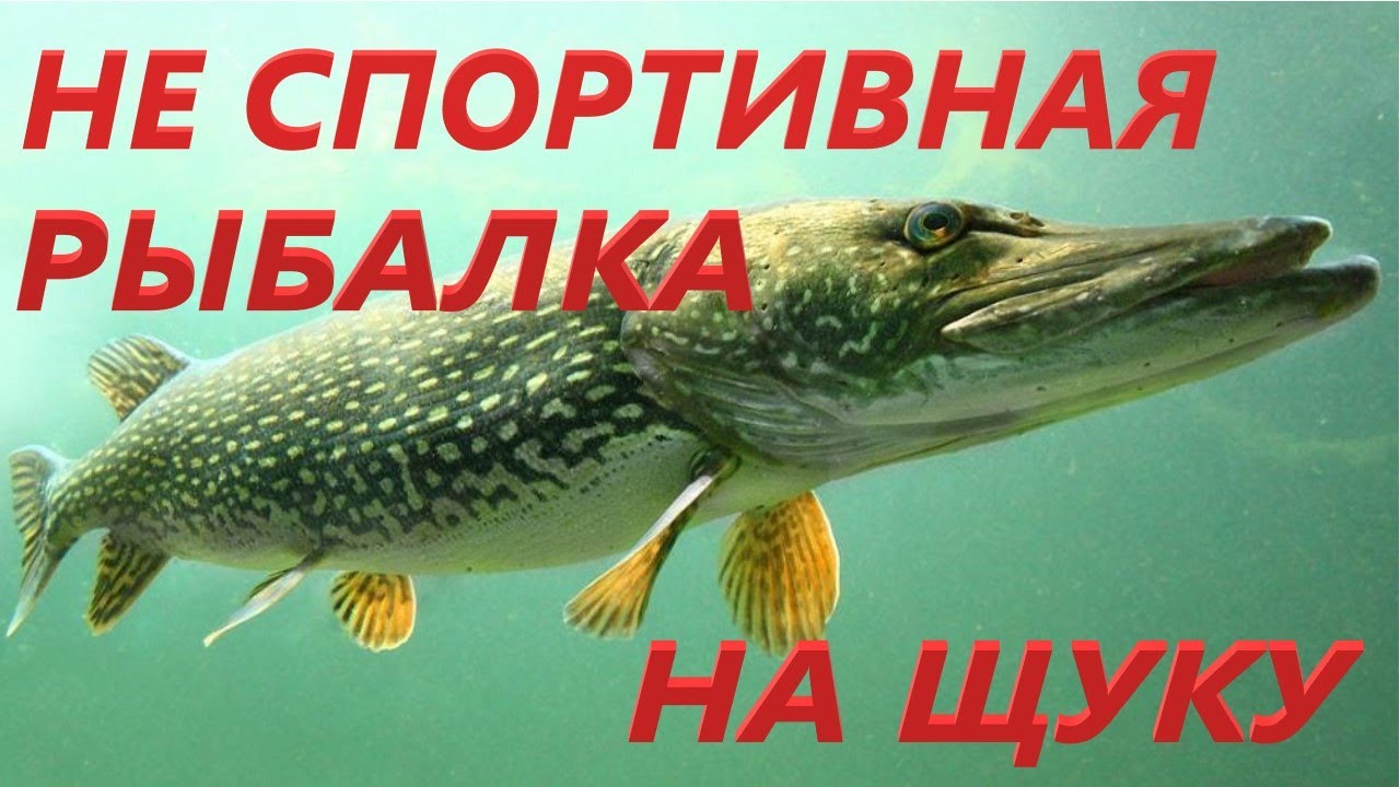 САМОЛОВКИ НА ЩУКУ