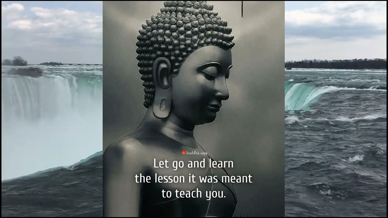 Powerful 50 Buddha Quotes Part 2 || Buddha Bless You