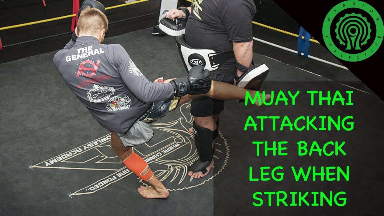Muay Thai Techniques - Attacking the Rear Leg Tutorial