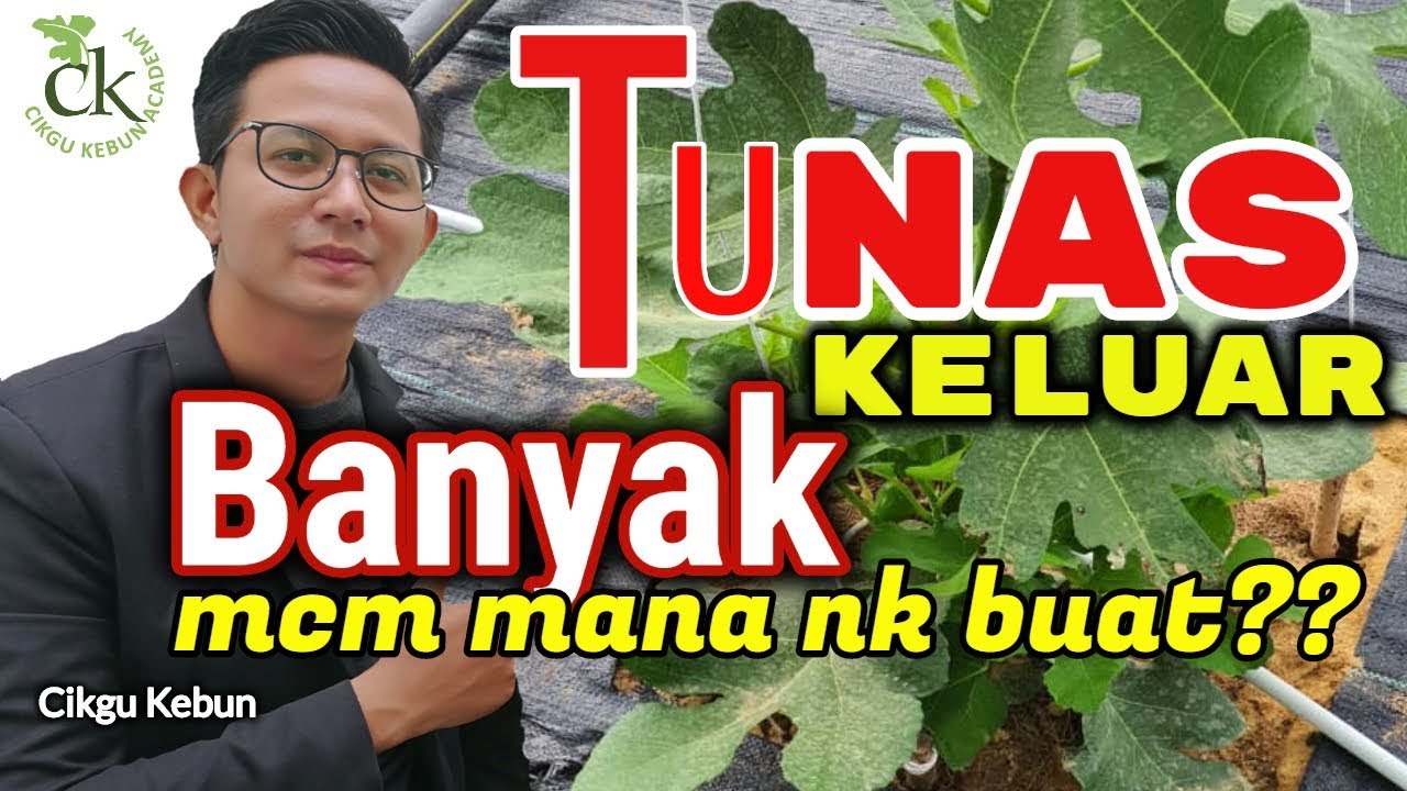 AWAS!! Tunas Keluar Banyak Mcm Mana Nak Buat???