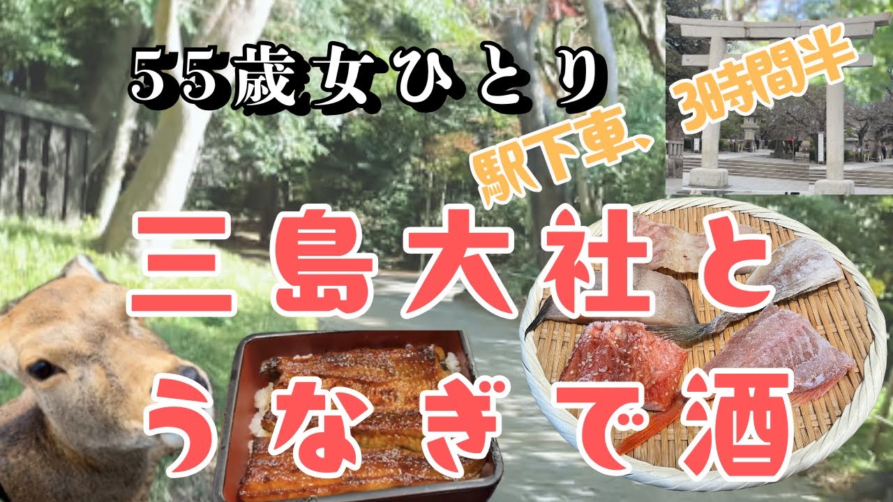 【三島3時間半】鰻→三島大社→はしご酒｜地元民しか知らない道で巡るグルメ旅