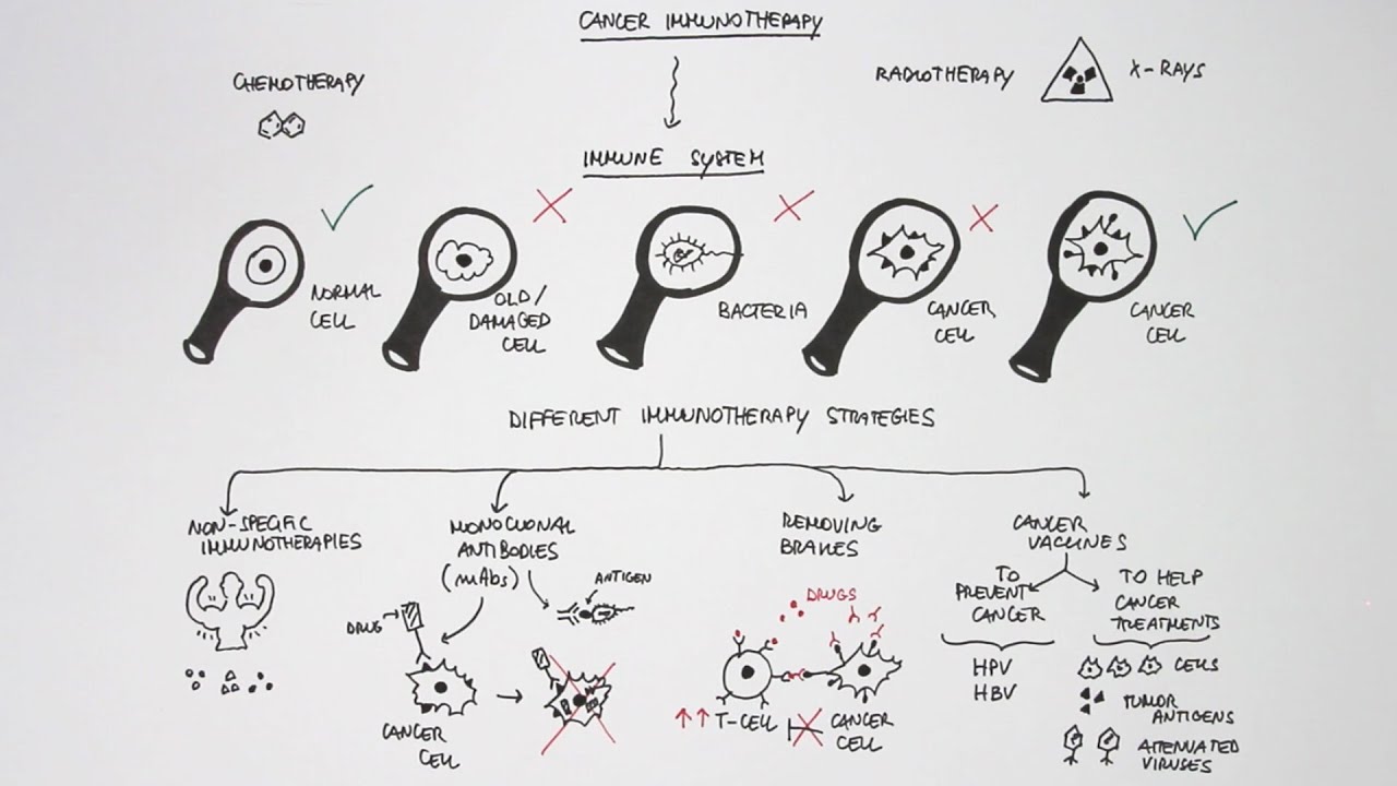 Cancer immunotherapy
