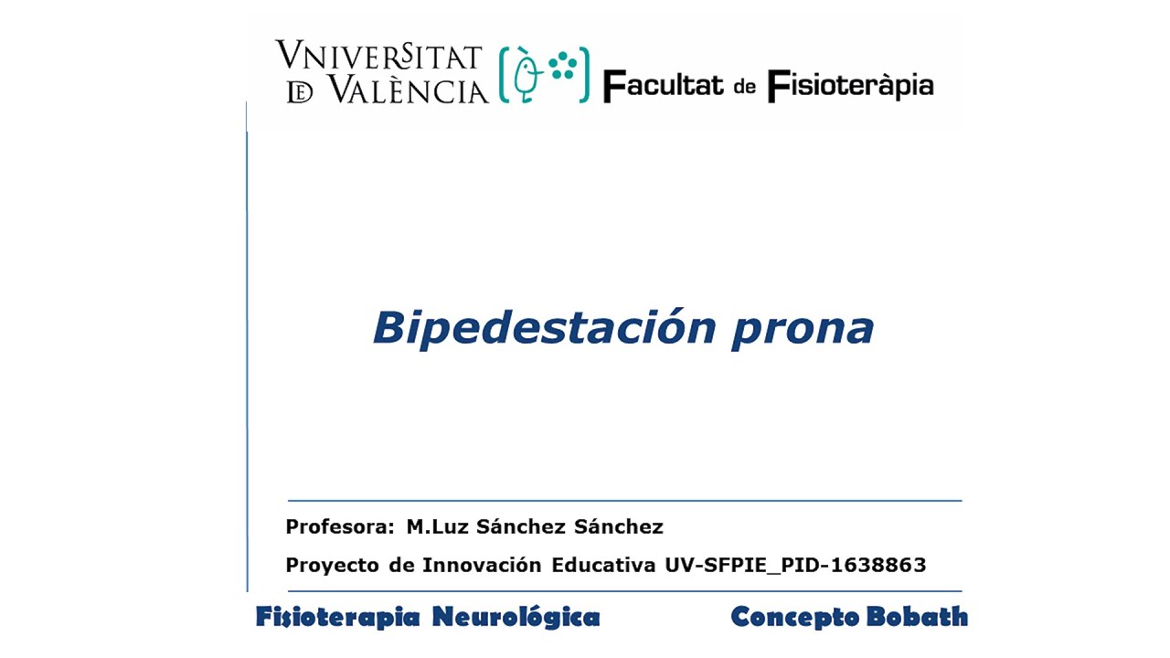 Bipedestación prona