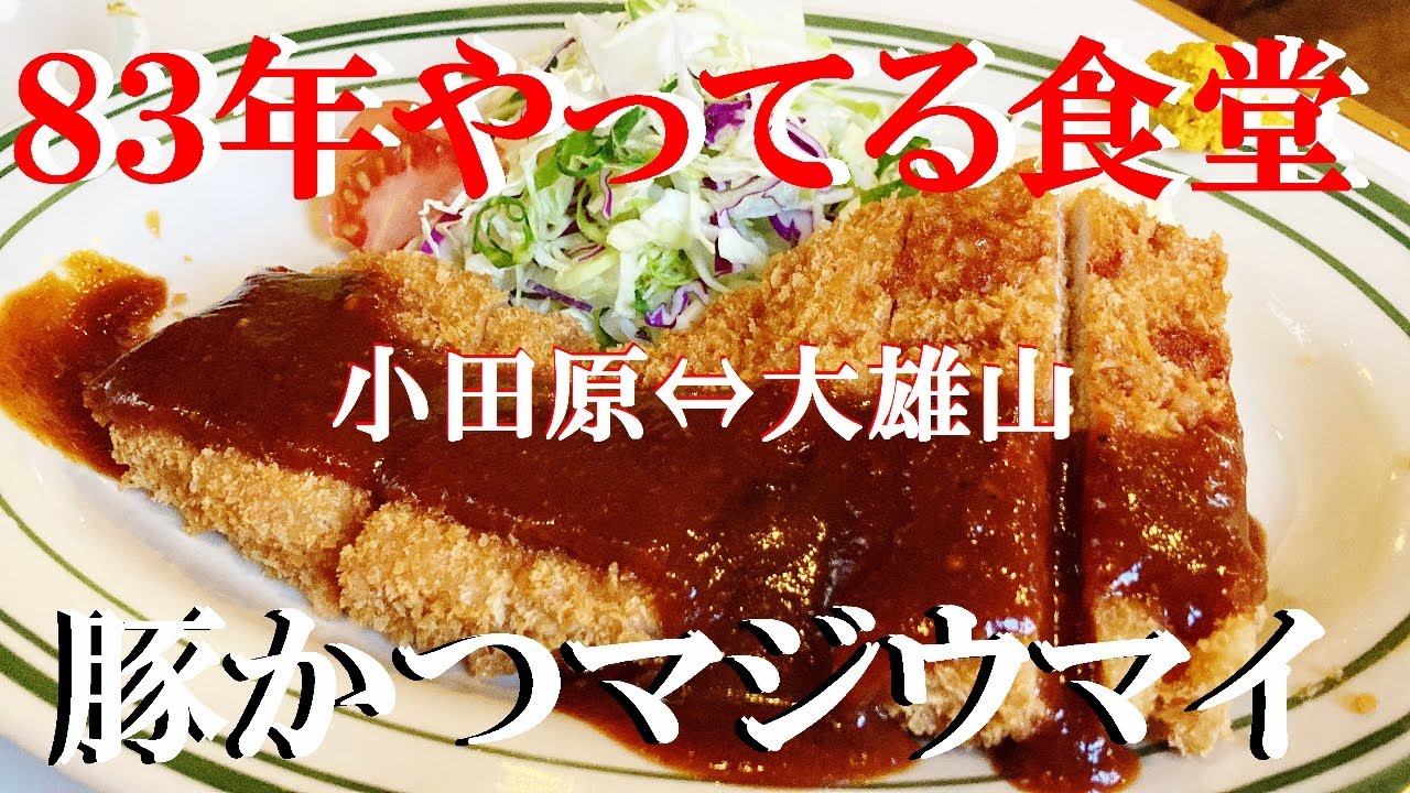NEW 小田原ぶらり旅大雄山駅近８３年やってる老舗食堂でトコトンやって電車に乗ったら終点で車掌様に起こされた【きよ竹食堂】【餃子の王将】