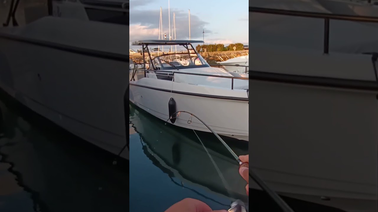 gros bar décroché 