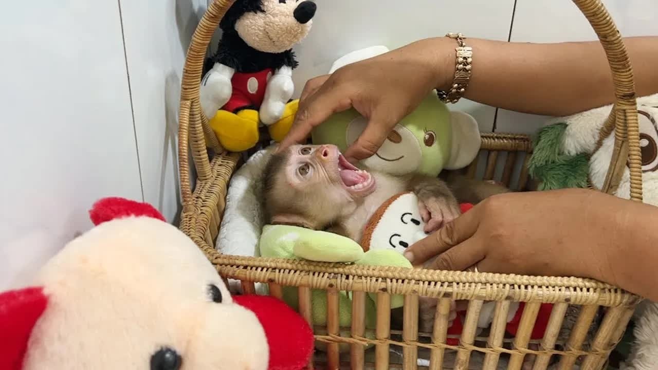 Baby DAM Is Getting Yawn Sleepy After Mom Long Comforting
