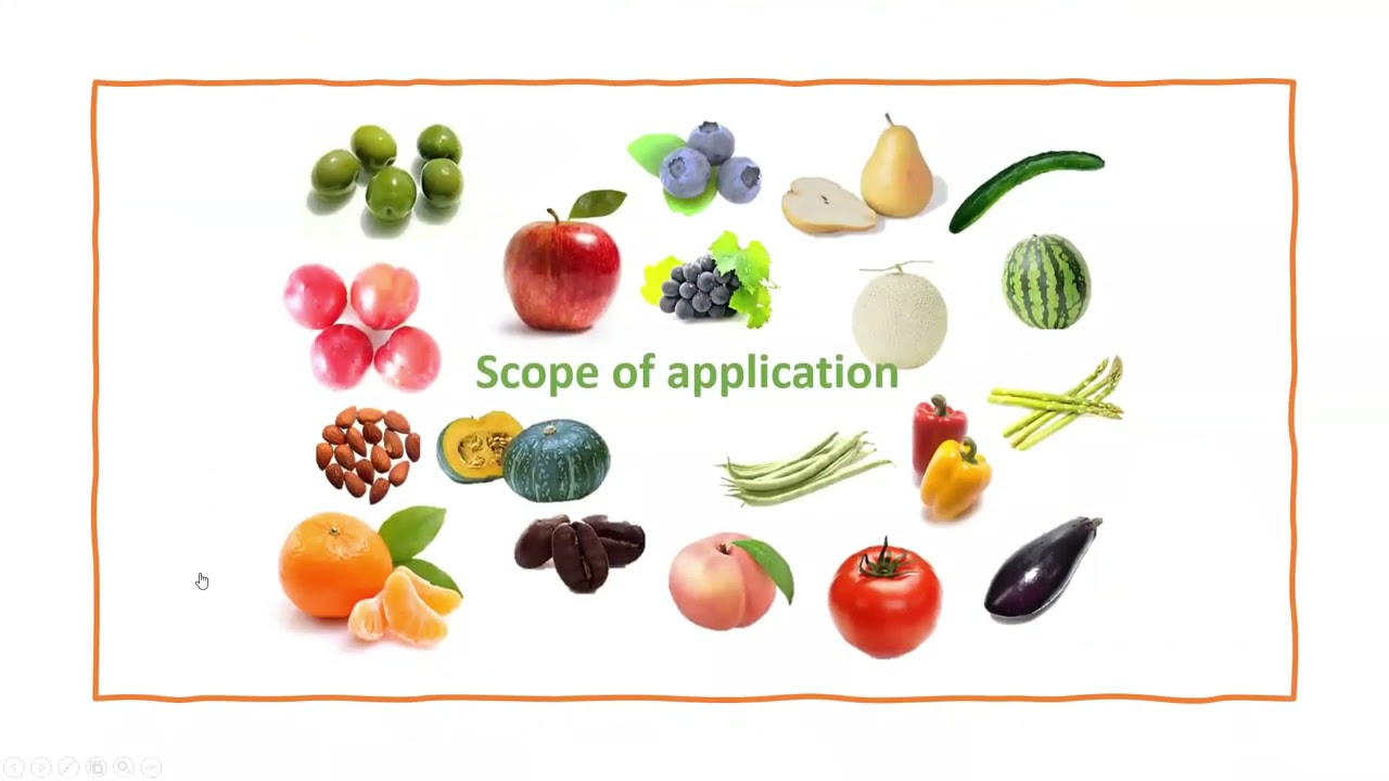 Kisvin Science PV2021