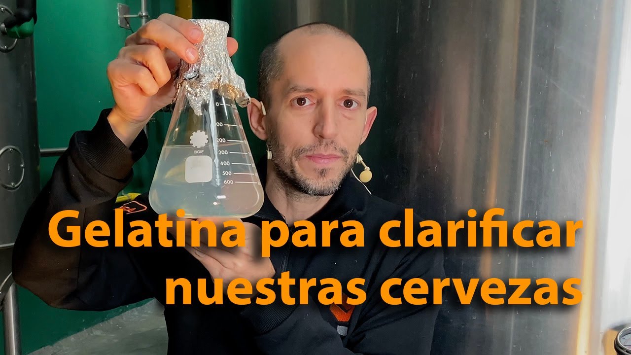 Cómo clarificar una cerveza con gelatina para lograr un efecto similar al filtrado.