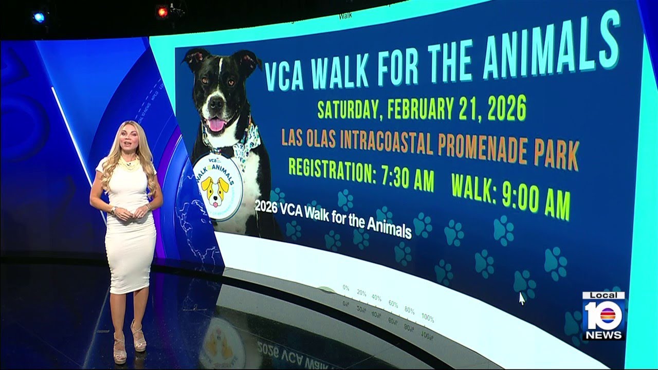 Join Animal Advocate's team for Saturday's walk