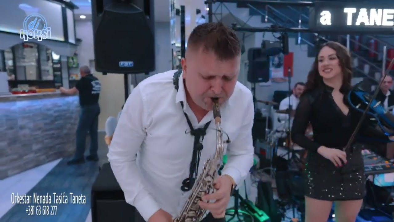 Orkestar Nenada Tasica Taneta - Uvodni Instrumentali 2024 [3 Delfina, Potocac-Paracin]