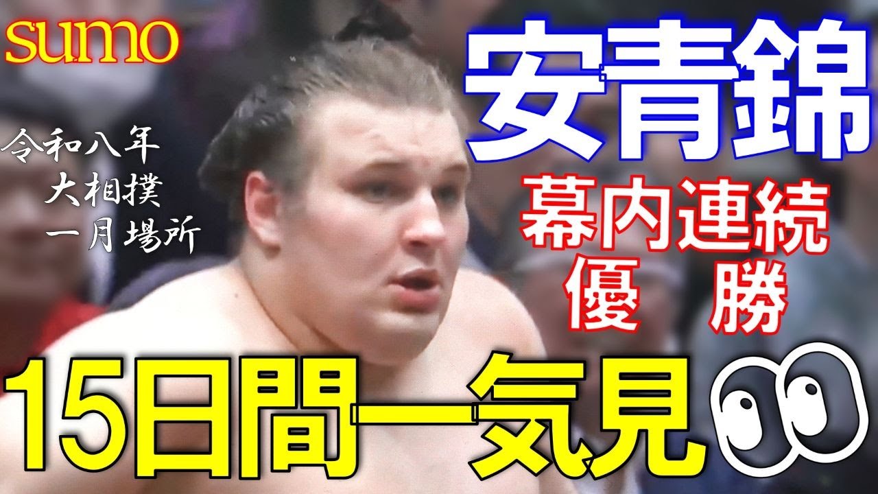 【安青錦】優勝への軌跡✨二場所連続優勝へ導いた１５日間を一気見👀【大相撲一月場所】