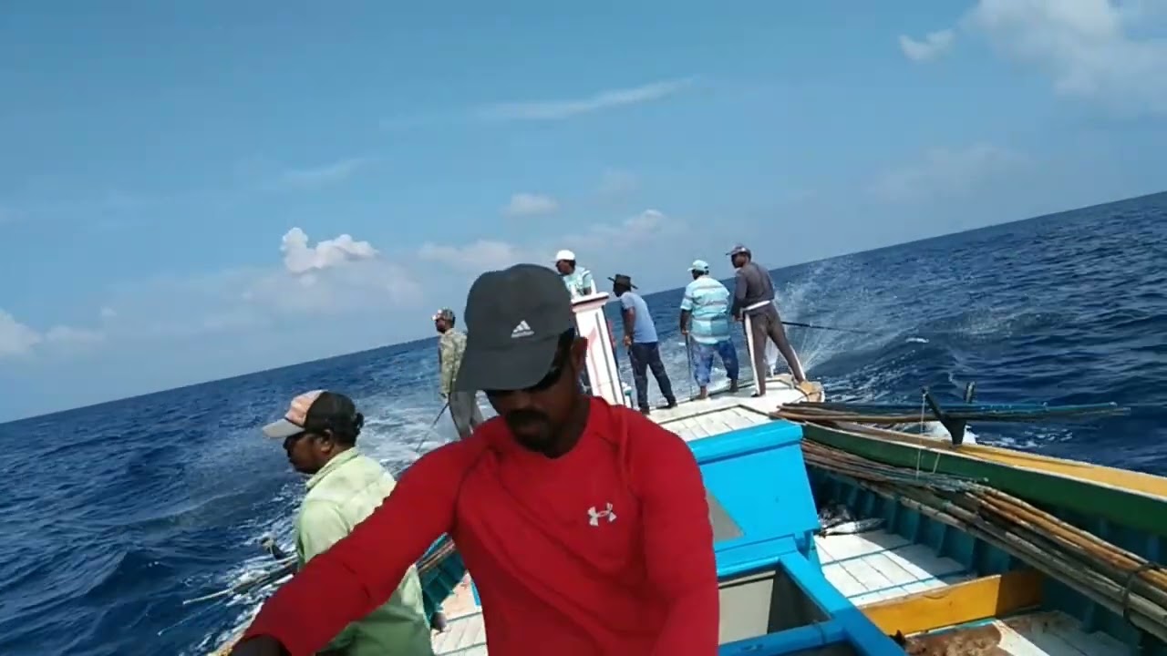 Boat Annar,Catching tuna # pole and line fishing#Minicoy#Maliku#Lakshadweep