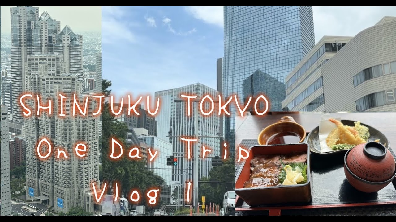 FUKUOKA Airport to NARITA #onedaytrip around Tokyo #eatinglunch Shinjuku Nomura Blg Restaurant Part1