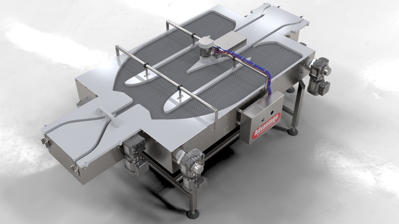 Pharmaceutical Multi-Size Vial Conveyor System With Accumulation
