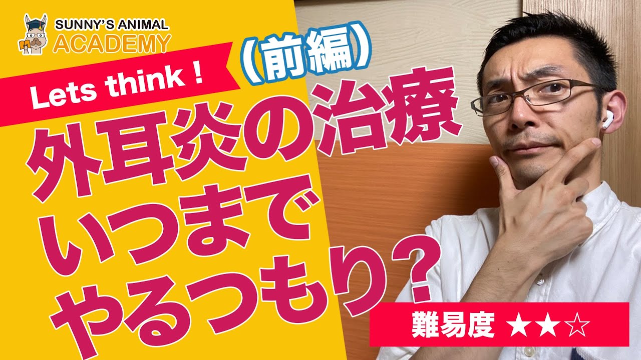 外耳炎の治療、いつまでやるつもり？前編/サニーズアニマルクリニック