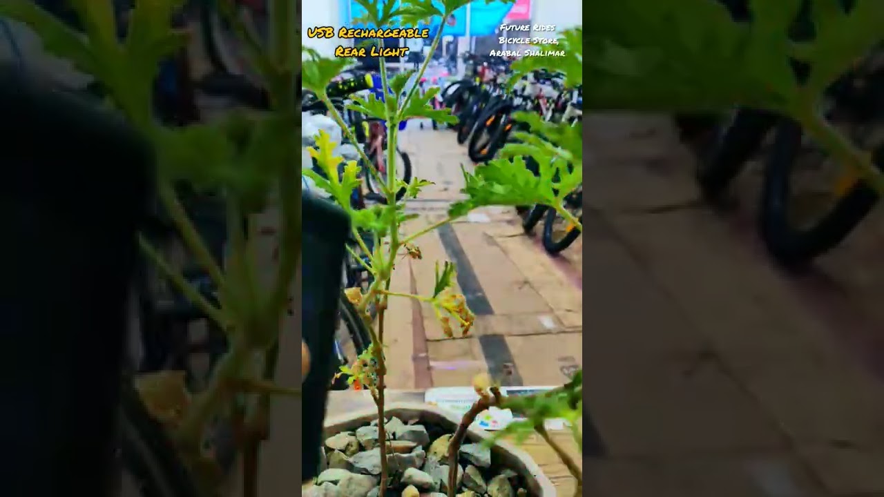 Best Bicycle USB Light #cycling #mtb #viral #shorts #bicyclestore #bicycle #srinagar #insta