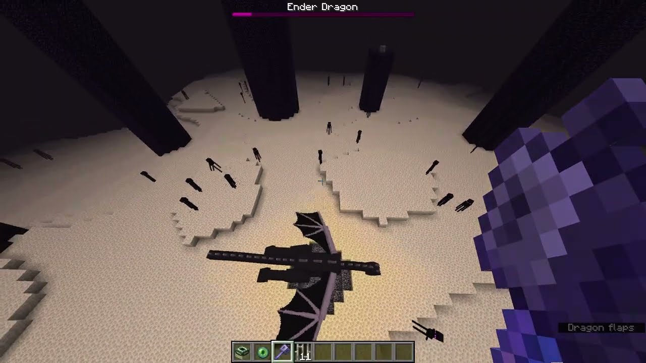Minecraft Sped Run
