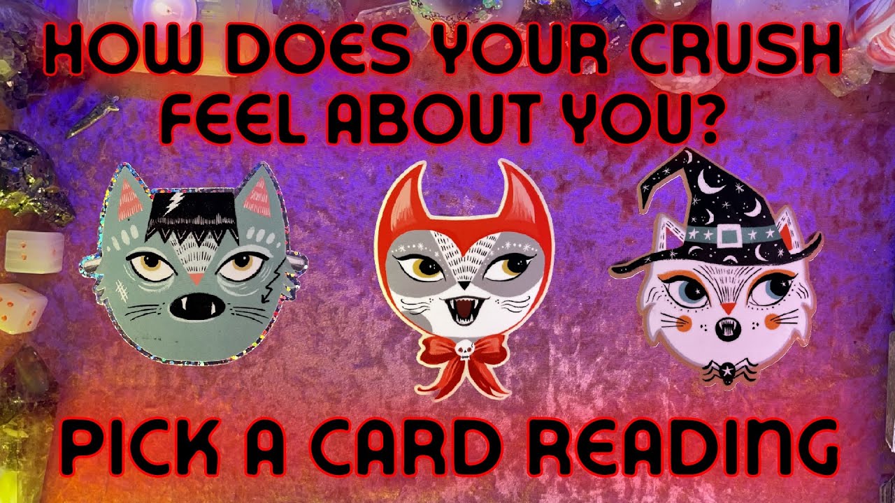💭How Does Your Crush Feel About You?💭 Tarot Pick a Card Reading 