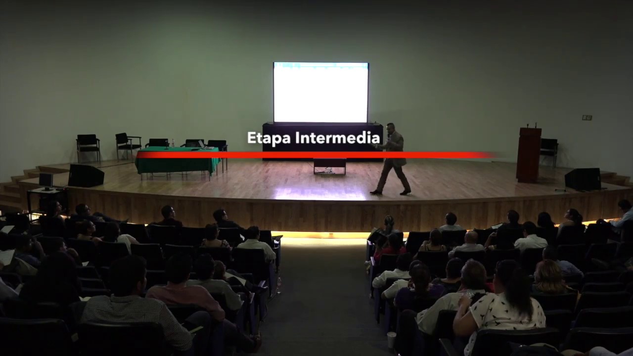 Etapa Intermedia