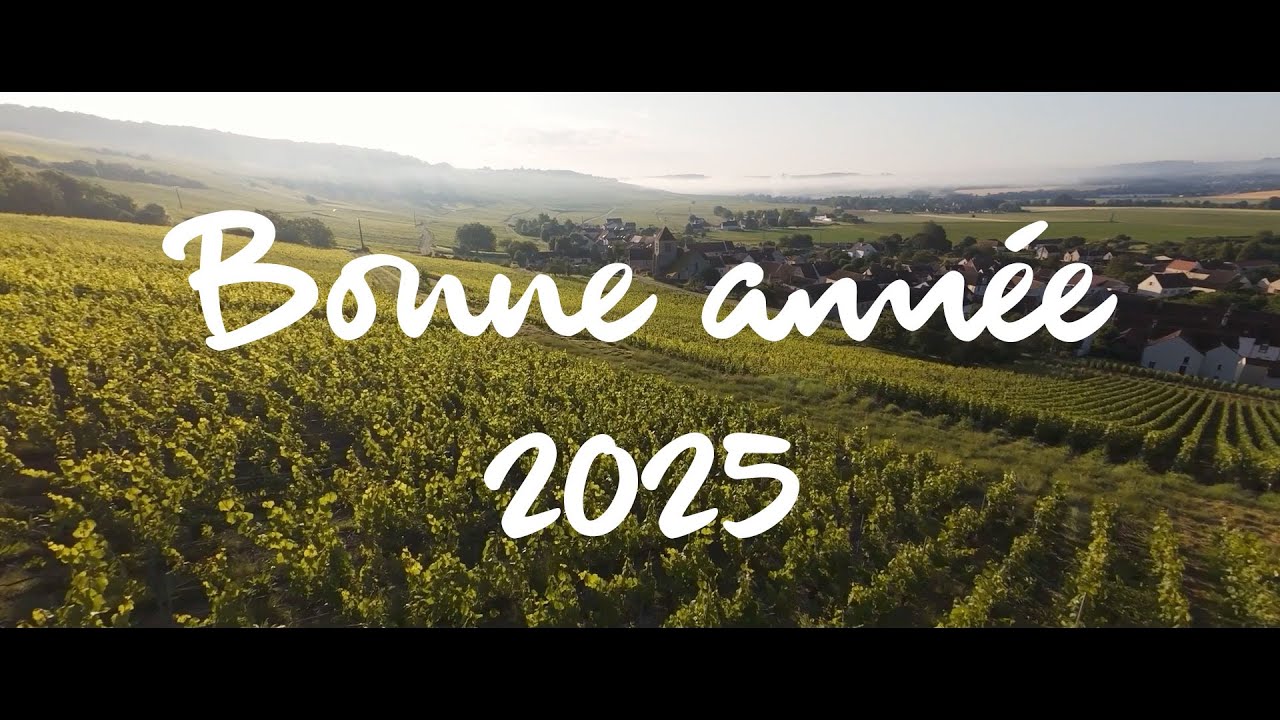 Belle année 2025 à toutes et à tous !