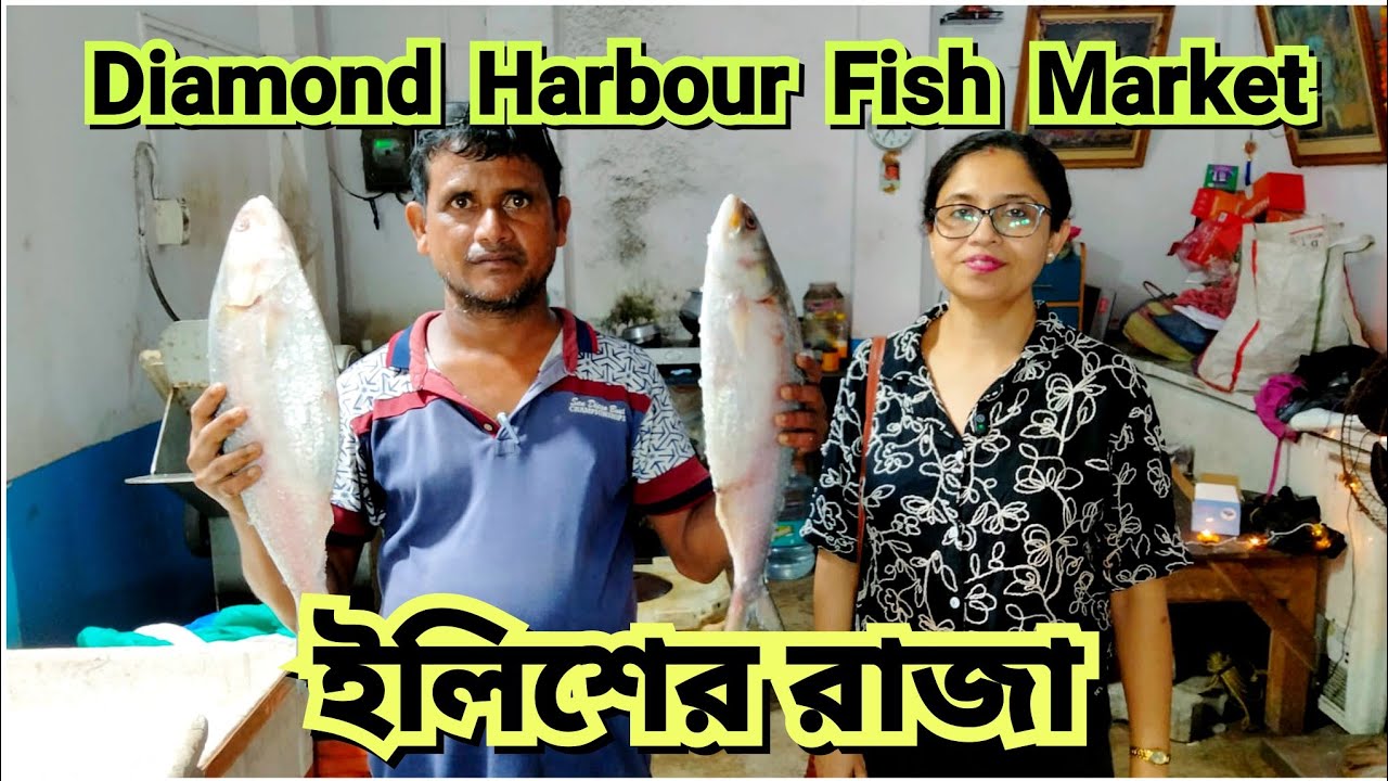 Diamond Harbour Fish Market - Diamond Harbour Nagendra Fish Market Diamond Harbour Nagendra Bazar
