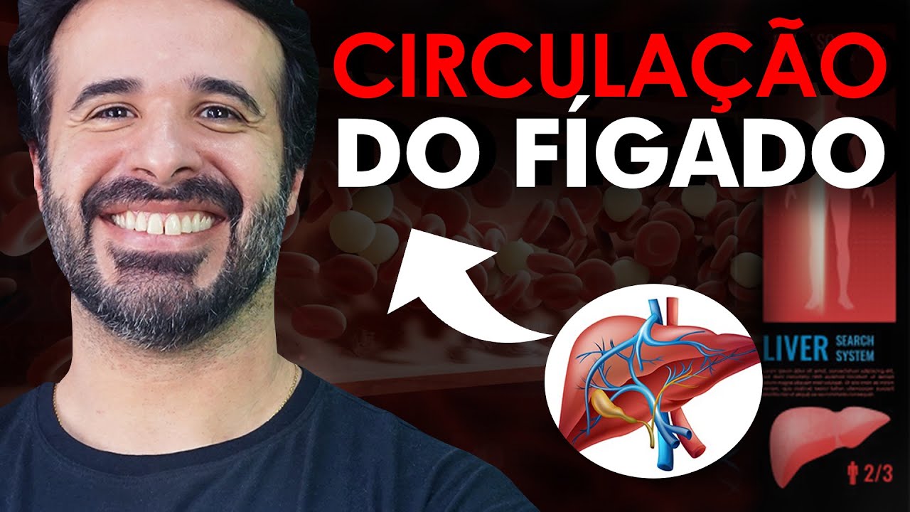 CIRCULAÇÃO DO FÍGADO: DE ONDE VEM A MAIOR PARTE DO SANGUE QUE CIRCULA NO FÍGADO?