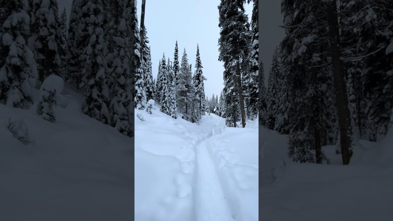 Trail Around the Emerald Lake