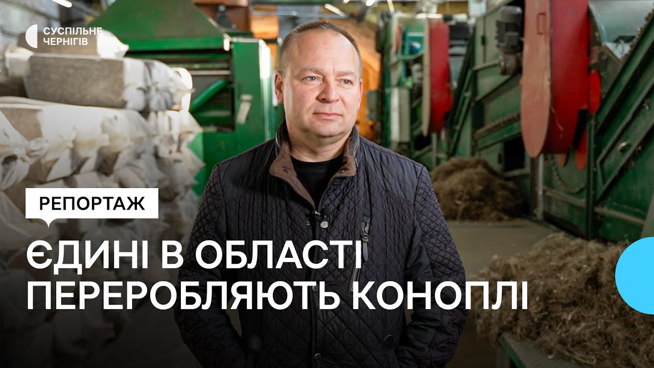 Як працює єдине підприємство в Чернігівській області, яке переробляє конопляну тресту