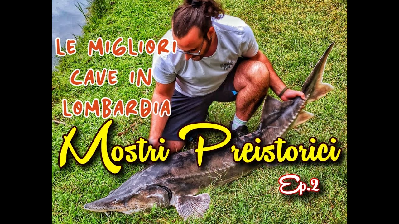 Pescare Grossi Storioni con Attrezzatura Improvvisata - Lago Carpanea