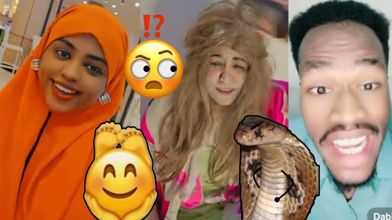 Baqqaa Fatiyan Marate Kuno Akka isheen Godhatu Dabbal Kun Hojii Keeti