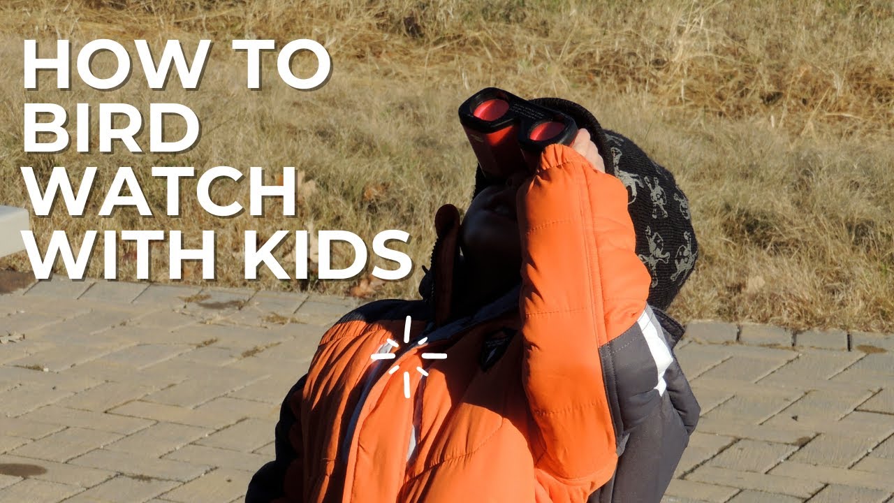 Birding Basics for Preschoolers: How to Bird Watch with Toddlers and Preschoolers, It's NOT HARD!