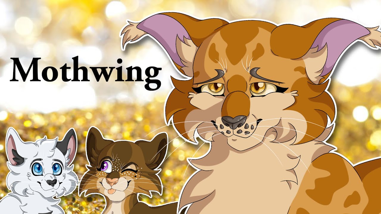 Почему Мотылёк — сокровище (при участии Бликсеми) | Warrior Cats Chats