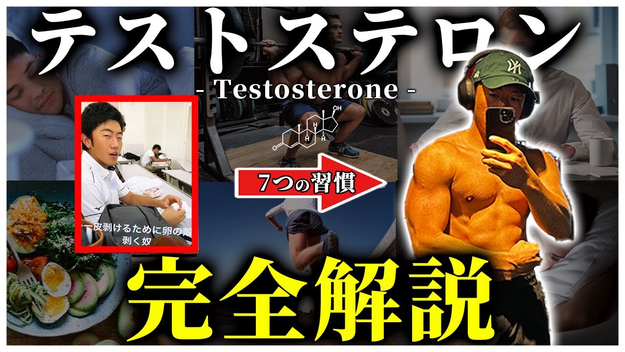 【これ１本で全てわかる】テストステロンを