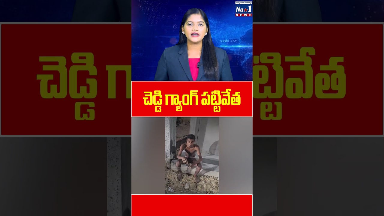 చెడ్డి గ్యాంగ్ పట్టివేత | #shorts #ytshorts #cheddigang | No.1News Telugu