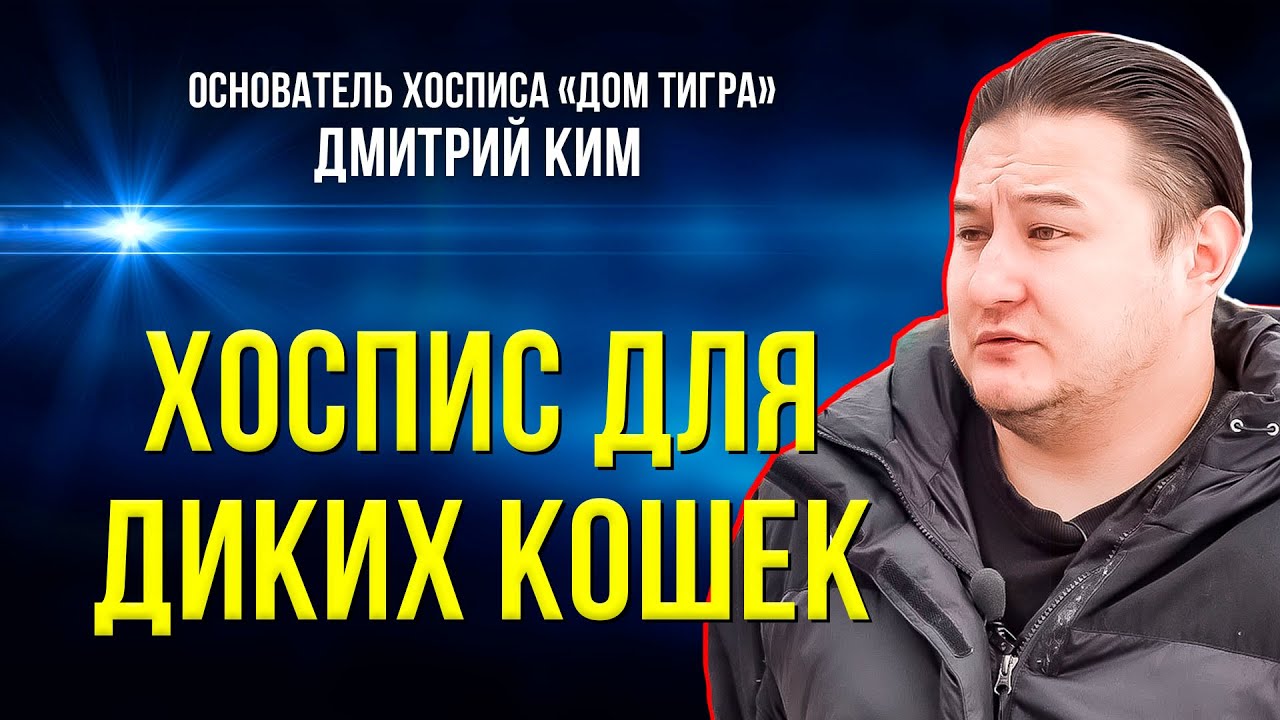 Бизнес до конца: чем платят дикие кошки за свою грациозность
