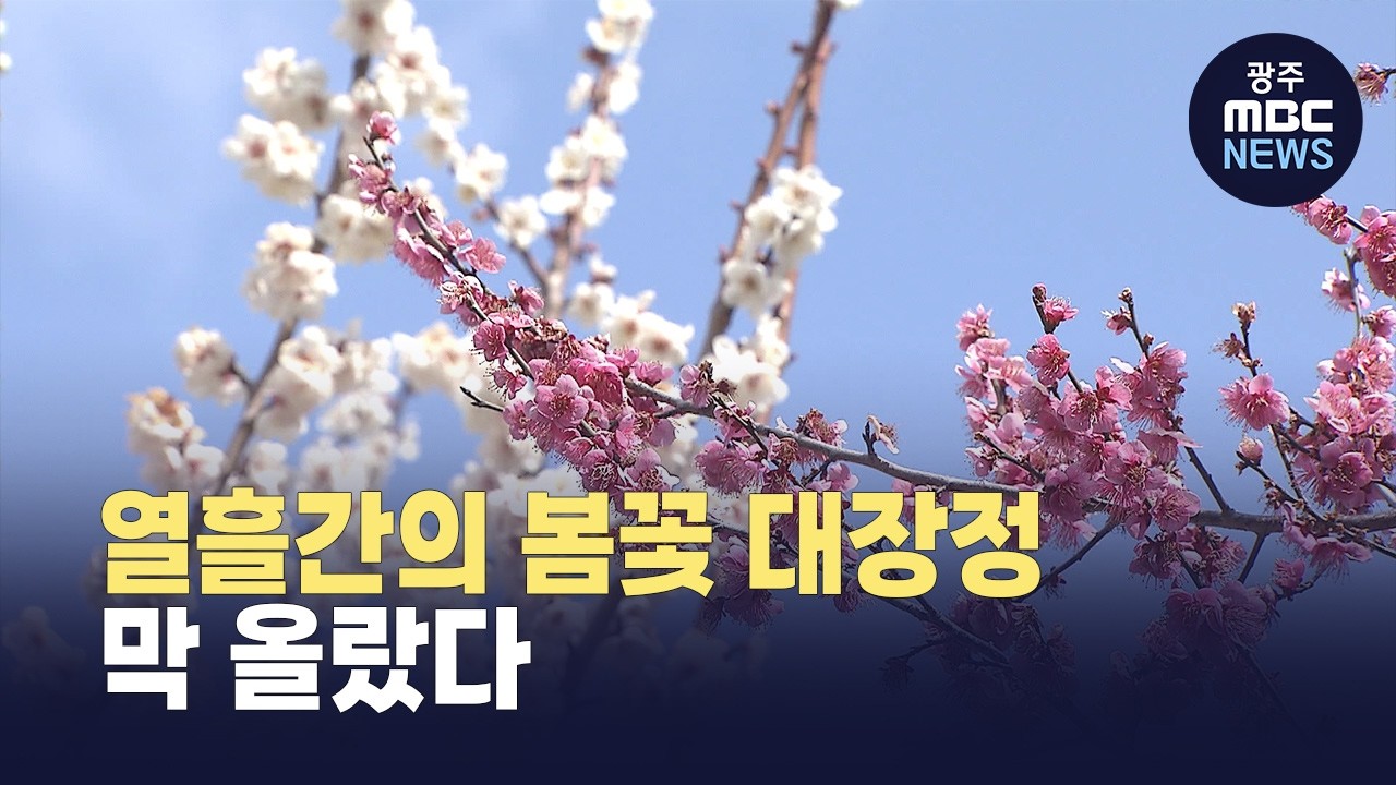 광양 매화, 구례 산수유...축제 연계 전시도 '풍성' (뉴스데스크 2026.3.14 광주MBC)