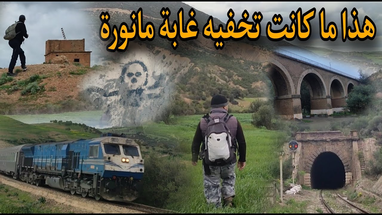 غابة مانورة من اخطر غابات ولاية عين الدفلى الى اجملها