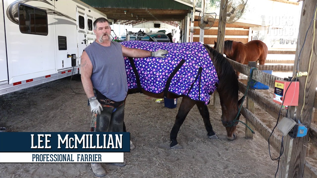 Everything You Need to Know About the Hoof Boss- HORSE