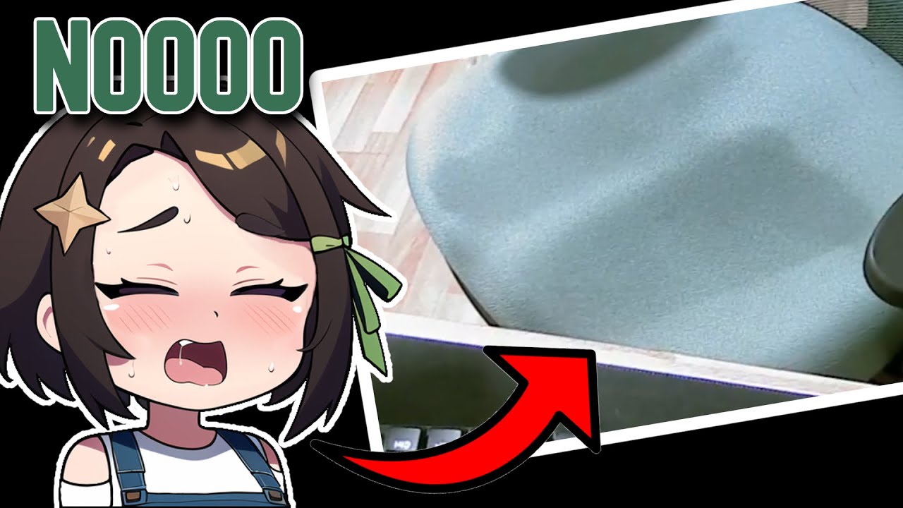 Meica descuido venga la alegr&iacute;a gogogo